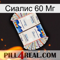 Сиалис 60 Мг kamagra1